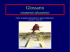 08_Glossario_PRG - Controgeografie didattica