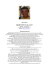 Curriculum Vitae ambito Kinesis