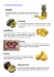 LA FRUTTA ESOTICA