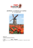 AMSTERDAM e la FIORITURA dei TULIPANI 21 – 24 aprile 2016