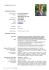 Curriculum vitae completo