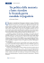 Tra politica della memoria e lutto