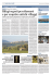 [edizio-mi - 14] giorn/speciali/varie/pag40 27