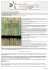 Stampa articolo - La scuola possibile