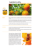 marmellata e scorze candite di arance amare