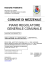 piano regolatore generale comunale