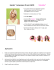 Hairdo™ Extensions 25 cm LISCIO Vibralite