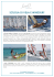 scuola di vela e windsurf