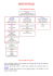 Aristotele schema 2