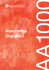 standard AA 1000