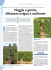 Pioggia e goccia, efficienza irrigua a confronto