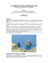 i geomorfositi costieri di origine vulcanica dell`isola di lipari