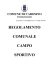 regolamento comunale campo sportivo