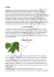 Apri PDF 1 - Etoilepedia