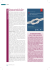 UN QUESTIoNARIo SULLE CURE PALLIATIvE