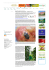 Il sito web per il commercio italiano di frutta e verdura