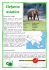 Elefante asiatico