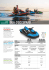 SEA-DOO SPARK