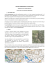 RAID IN ORIENTAMENTO E MULTISPORT