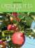 1.Ortofrutta.Notizie-Gen.Feb 2017