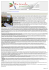 Articolo "FARE" Storia tratto da lascuolapossibile.it