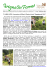 Scarica PDF - Montagne di Valgrigna