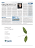 Leggi la news - SailingTheWeb