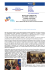 L`officina del cielo - Home | Rotary Castellanza