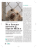 Scarica l`articolo intero