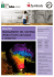 master management del sistema produttivo culturale e creativo