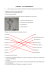 DOMANDE – TEST APPRENDIMENTO