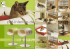 pet-interiors.de