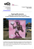 Progetto graffiti cabine Enel