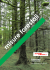 catalogo misure forestali