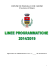 linee programmatiche 2014/2019 - comune di marcallo con casone