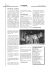 Pagina 4 - Buscoldo