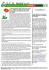 Newsletter 4 2016 HYMACH publisher.pub
