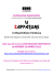 Scarica il pressbook (italiano)