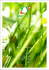 PDF 266 KB - Bio Suisse