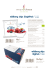 wildberry chips SinglePack TECH SPECS wildberry chips