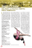 Regioni d`Italia - Federazione Ginnastica d`Italia