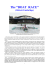 BOAT RACE - raid informare