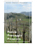 Poesia Paesaggio Prosecco