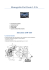 Monografia Fiat Punto 1.2 8v
