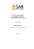 Pubblicazione in formato PDF