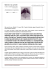 Note biografiche e storiche