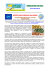 newsletter 46-2012