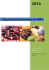 Report on Italian Desserts in CHINA
