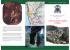 Scarica la brochure completa in pdf