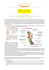 01 - Programma HappyLab